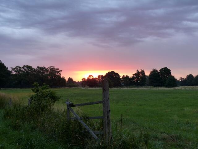 Sonnenaufgang kurz hinter dem Ortseingang Großburgwedels.