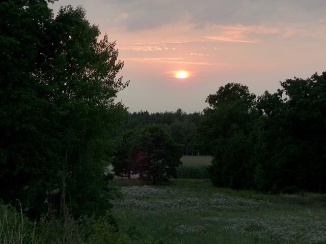 Ein wunderschöner Sonnenuntergang mit dem sich der Tag friedlich verabschiedet. Ich befinde mich auf dem Rückweg von einer Radtour, die mich in die Wedemark führte.