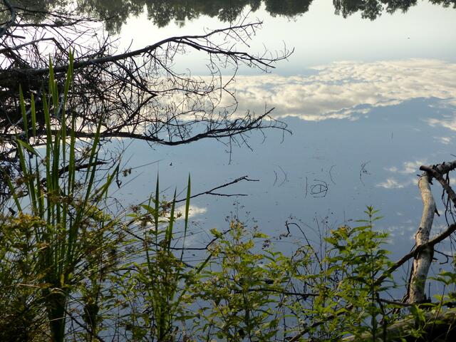 Alles doppelt! Spiegelungen - Himmel im Wasser.
