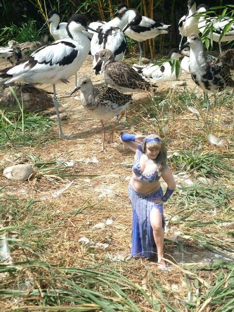 Scheherazade besucht den Zoo Augsburg