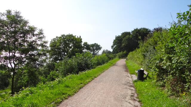 Pilgerweg in der Wittenberger Heide