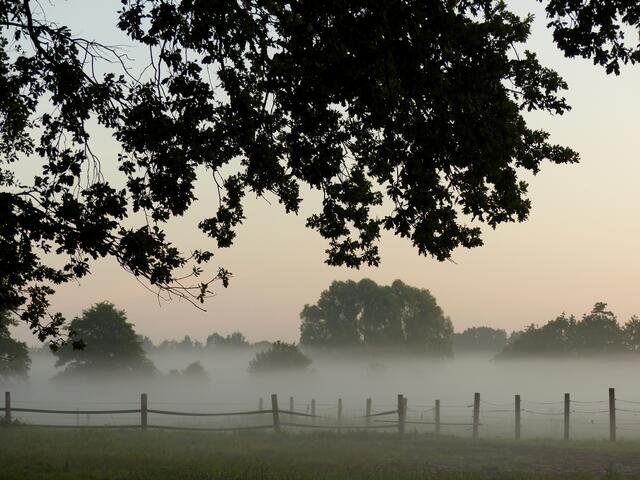 Immer wieder zieht es mich zur Straße am Pöttcherteich. Dieses Bild wird sich - durch Bebauungspläne - bald verändern.
