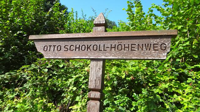 Wittenberger Heide, Otto-Schokoll-Höhenweg