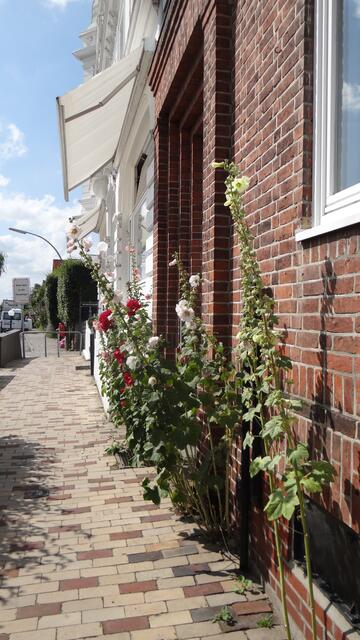 Pilgerweg in Blankenese