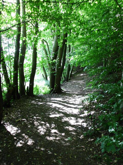 Wanderweg entlang der Bille
