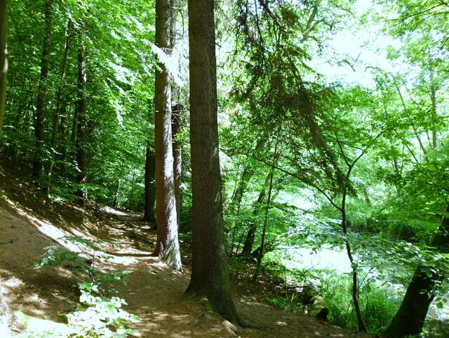 Wanderweg entlang der Bille