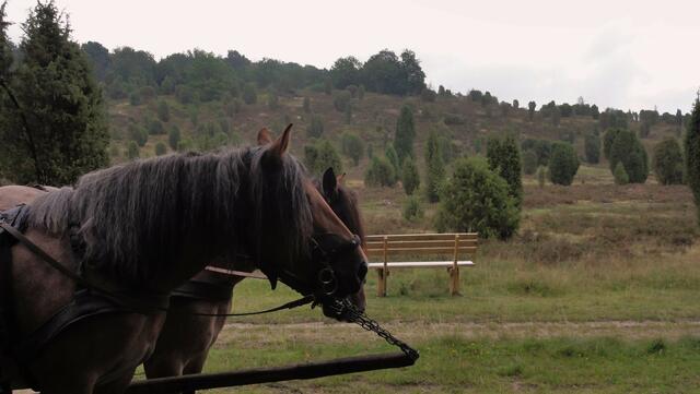 kleiner Halt beim Totengrund