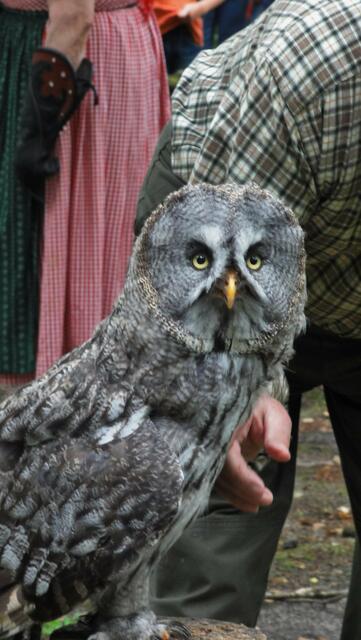schau mir in die Augen, Kleines