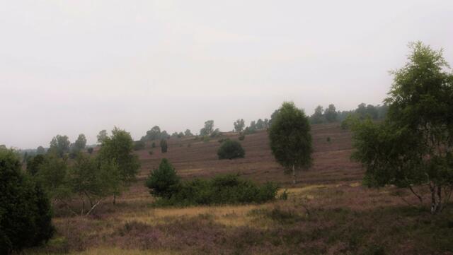 ...und sie blüht doch!