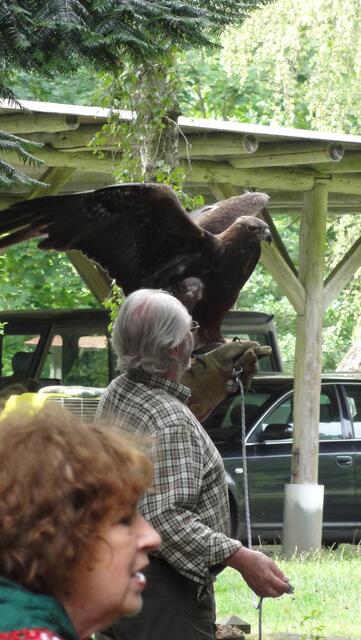 mächtige Schlagkraft