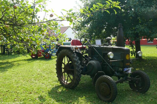 Traumhafte Kulisse im alten Obstgarten....