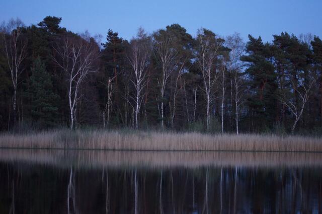 Im Kontrast dazu sehen wir hier den ruhig daliegenden Würmsee im Halbdunkel der fortgeschrittenen Abenddämmerung.