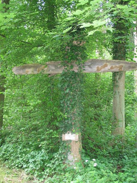 Zur Erinnerung an den 1. Jugendkreuzweg in der Pfarreiengemeinschaft Nordendorf 2007