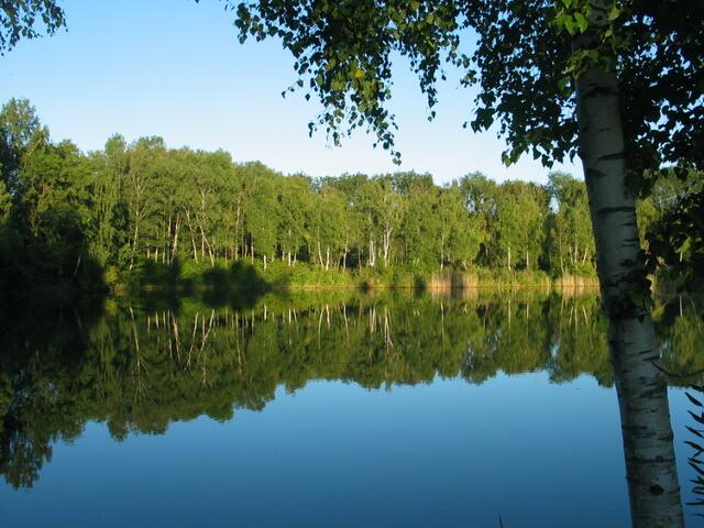 Am Ellgauer Badeweiher