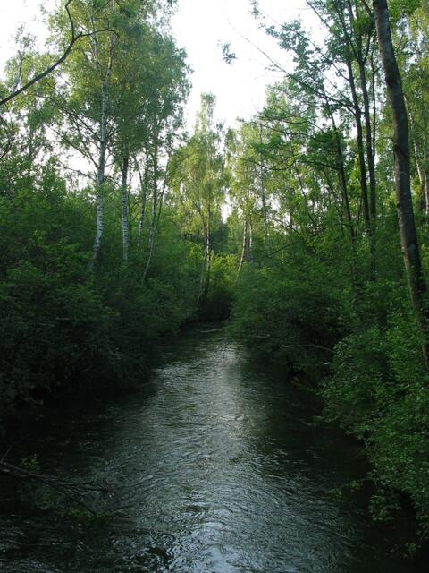 Friedliche Stille