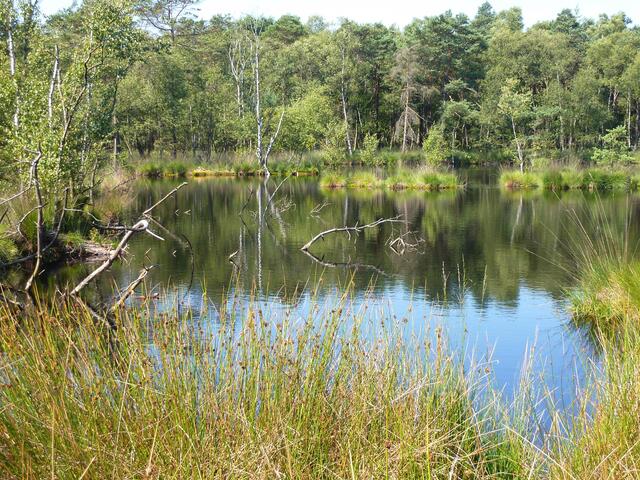In den Moorseen spiegelt sich die Landschaft.