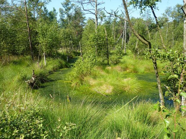 ...Wassergraben.