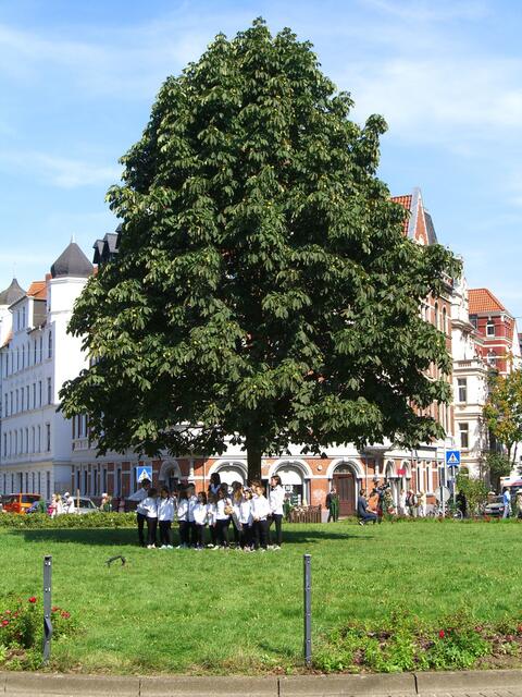 Kinderchor. Singend.