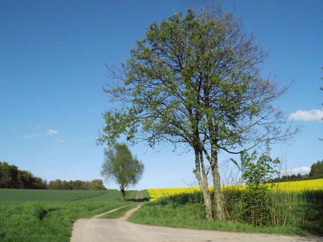 My heimat