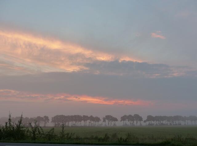 Nebel bei Sonnenaufgang. Das Morgenrot verdrängt nach und nach die milchigen Pastellfarben.