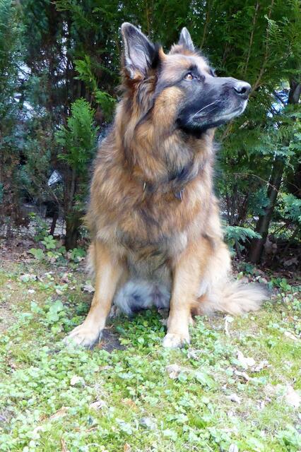 Wo will Frauchen denn hin??