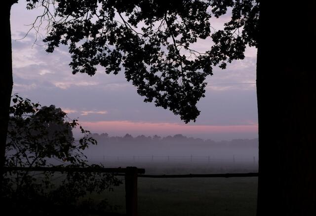 Ein erster Ausblick auf den neuen Tag bietet sich mir hier an einer Pferdekoppel - 5.45 Uhr - 20. August 2015. Es ist immer wieder phantastisch und immer aufs Neue eine Überraschung, dieses erste Bild welches der junge Tag nach dem Weichen der Finsternis der Nacht, für uns bereithält.