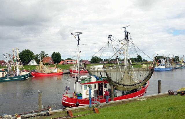 Heimat/  Greetsiel Hafen  Ostfriesland