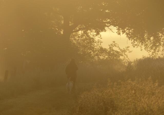 Dieser geheimnisvolle Gang in den nebligen Morgen gehört zu meinen Lieblingbildern.