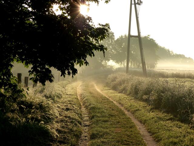Nun folgen drei unterschiedliche Ansichten an einem meiner Lieblingsfotopunkte in den vergangenen Wochen während der "allmorgendlichen Runden".