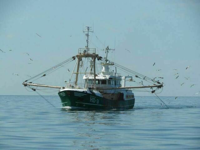 Trawler bei der Arbeit | Foto: A. Schäfer