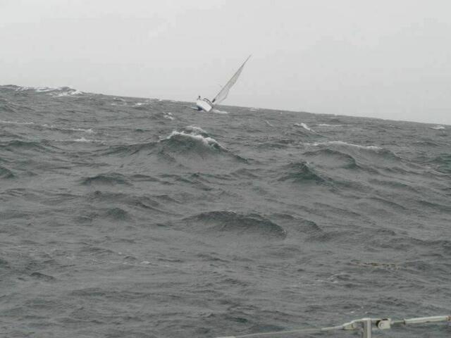 Gesehen auf der Überfahrt von Torquay / Südengland nach Brest / Frankreich | Foto: A. Schäfer