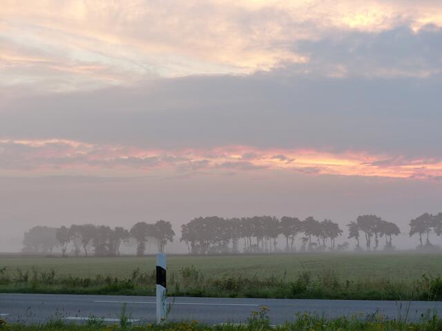 Ein zauberhafter Nebelmorgen! Aufgenommen am Ortsausgang von Fuhrberg (Burgwedel) in der Frühe.
