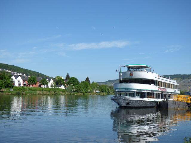 Die Mosel bei Bernkastel-Kues