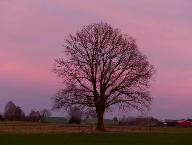 Alles ECHT! Diese beindruckende und ungewöhnliche Farbstimmung beherrschte zur Zeit des Sonnenuntergangs in südöstlicher Richtung an diesem Abend den Himmel.