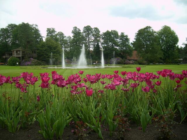 Im Vogelpark Walsrode