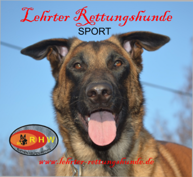 Lehrter Rettungshunde im SV-OG-Lehrte