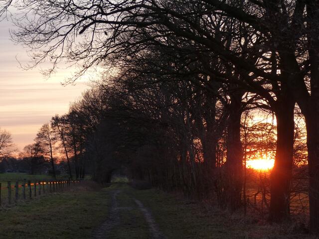 Die untergehende Sonne spiegelt sich mit kupfernem Glanz im Weidezaun.