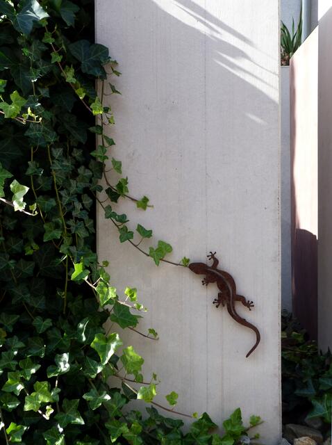 Mallorca-feeling in der Südstadt, Gecko in der Bandelstraße, Hannover-Südstadt