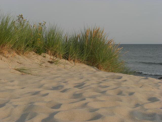 Strand von Graal-Müritz