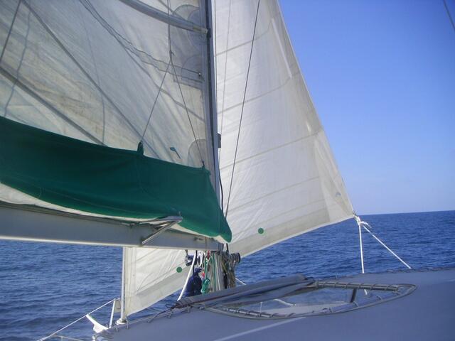 Vor dem Wind - Schmetterling