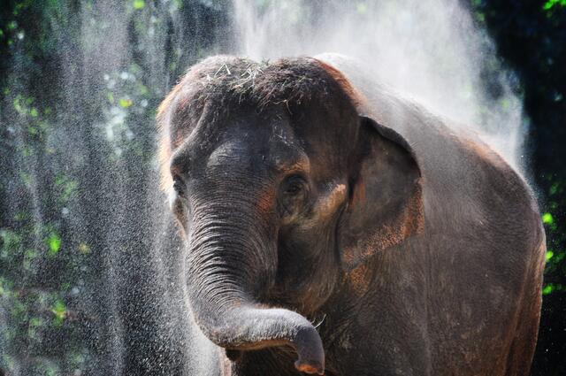 Bei der Hitze hilft nur eine Sanddusche