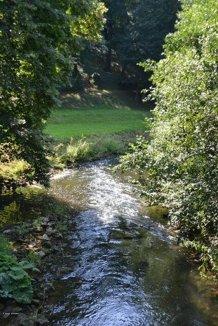 Zufluss in die Nette von der Lavesbrücke aus fotografiert (Foto: Katja Woidtke)