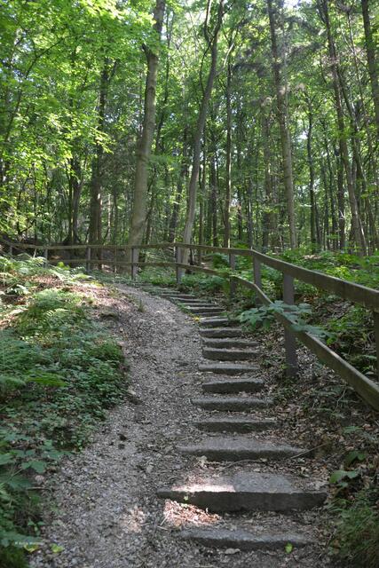 Treppen führen vom Mausoleum auf den Donnerberg (Foto: Katja Woidtke)