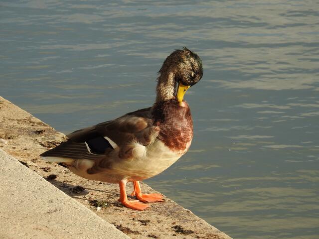 ..hier auch noch..