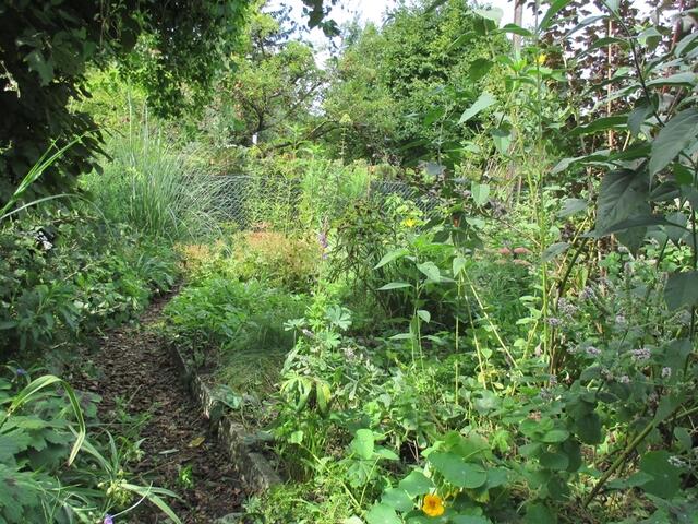 Im Wildgarten