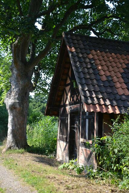Hütte an den Fischteichen in Derneburg (Foto: Katja Woidtke)