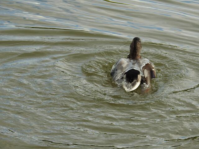 ..erste Dusche..