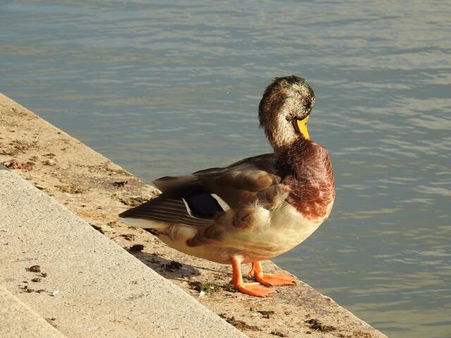 ..nu ist's aber gut!