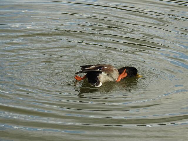 ...waschen....