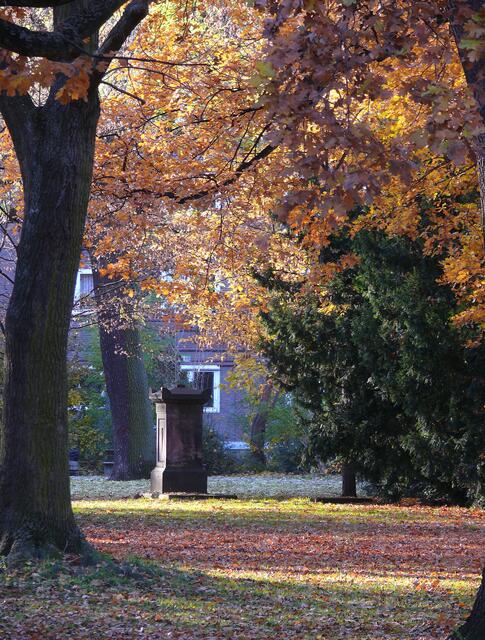Herbst (Historischer Friedhof in Hannover-Döhren)